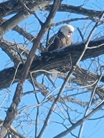 2307 Tecumseh Drive, Brooklyn, MI 49230