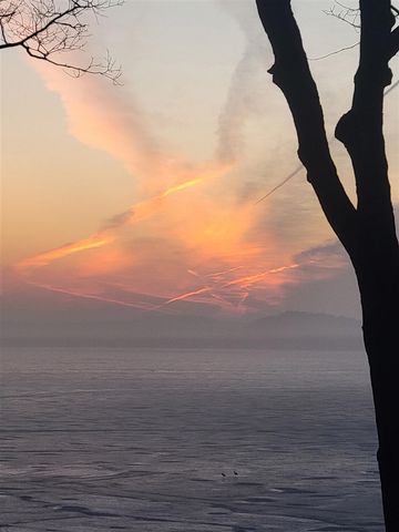 2307 Tecumseh Drive, Brooklyn, MI 49230