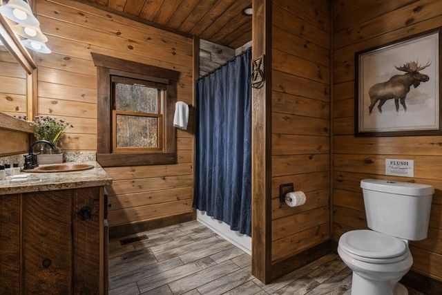 355 W Shalom Court, Blue Ridge, GA 30513