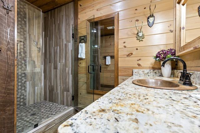 355 W Shalom Court, Blue Ridge, GA 30513