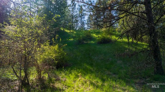 NKA 24acs Jacks Canyon Rd, Lenore, ID 83541