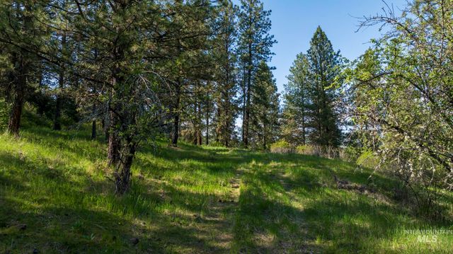 NKA 24acs Jacks Canyon Rd, Lenore, ID 83541