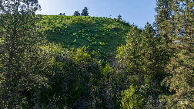 NKA 24acs Jacks Canyon Rd, Lenore, ID 83541