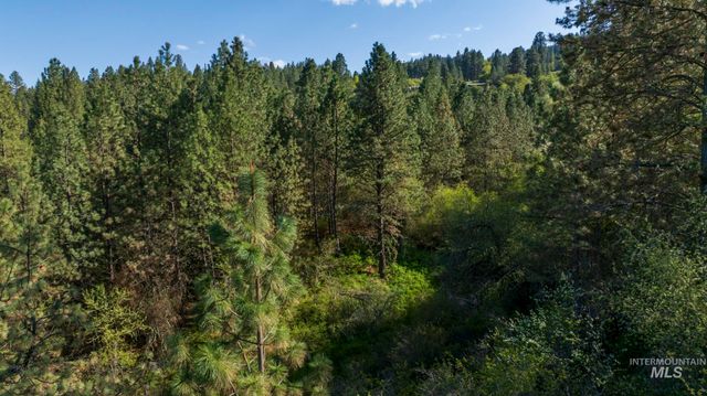 NKA 24acs Jacks Canyon Rd, Lenore, ID 83541