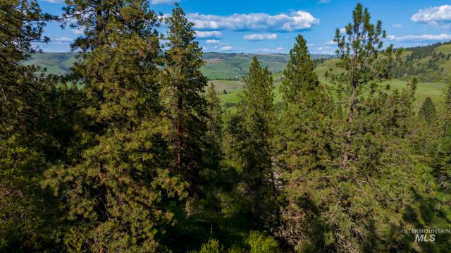 NKA 24acs Jacks Canyon Rd, Lenore, ID 83541