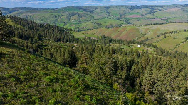 NKA 24acs Jacks Canyon Rd, Lenore, ID 83541