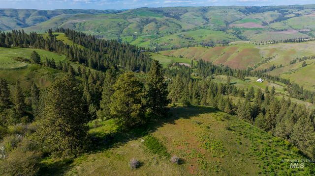 NKA 24acs Jacks Canyon Rd, Lenore, ID 83541