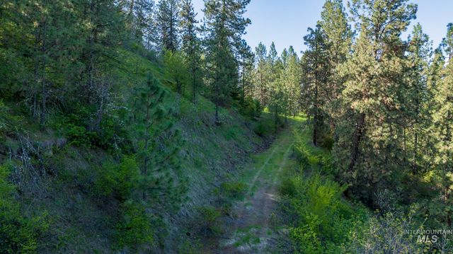 NKA 24acs Jacks Canyon Rd, Lenore, ID 83541