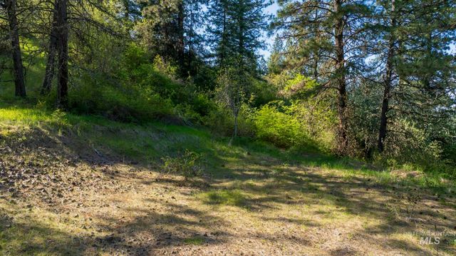 NKA 24acs Jacks Canyon Rd, Lenore, ID 83541