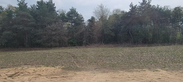 11614 Weatherby Drive SE 147, Lowell, MI 49331