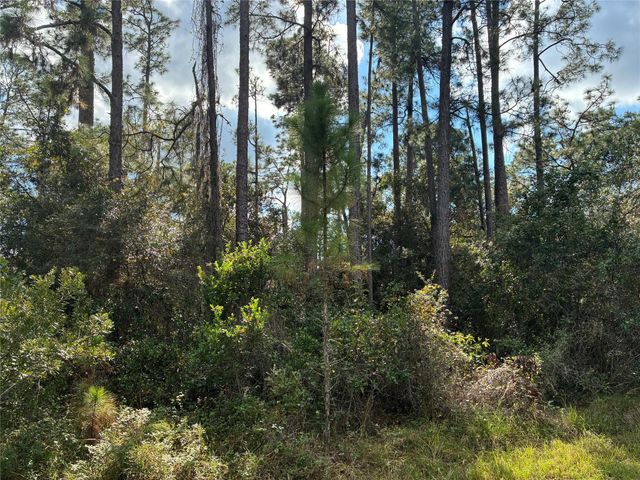 Lot 15, Block 75 Park Ave, Indian Lake Estates, FL 33855