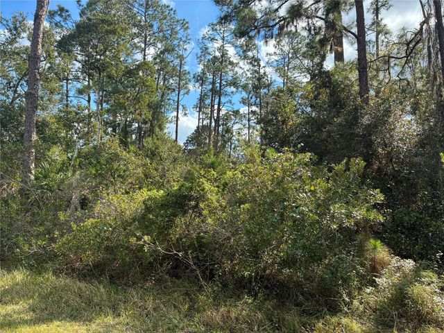 Lot 15, Block 75 Park Ave, Indian Lake Estates, FL 33855