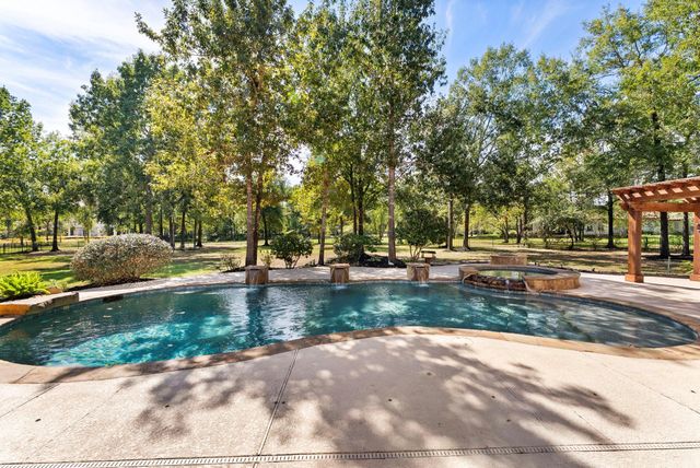 27507 Hunter Creek Court, Spring, TX 77386