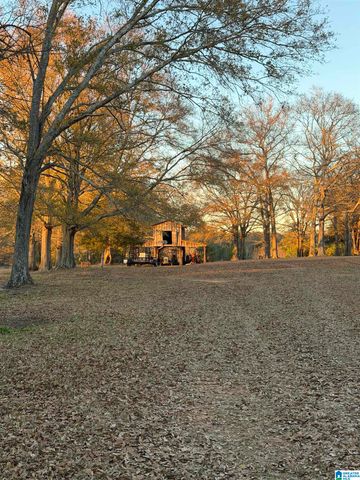 2260 PEACEFUL VALLEY ROAD, Eastaboga, AL 36260