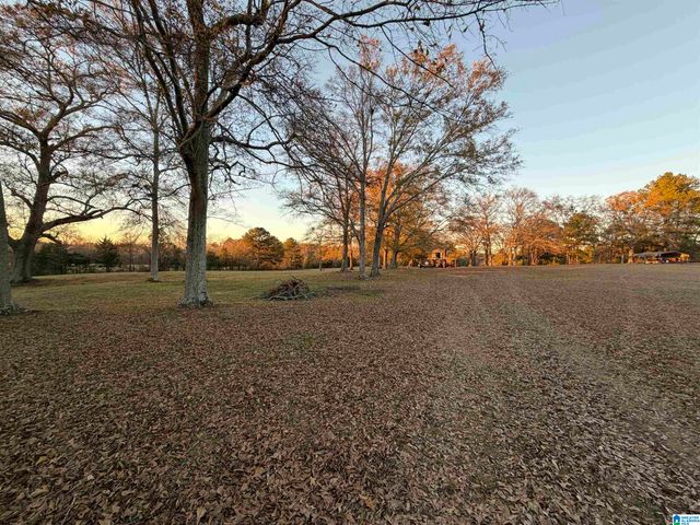 2260 PEACEFUL VALLEY ROAD, Eastaboga, AL 36260