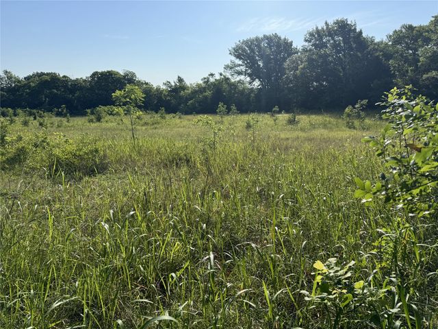 TBD Ball Road, Whitewright, TX 75491