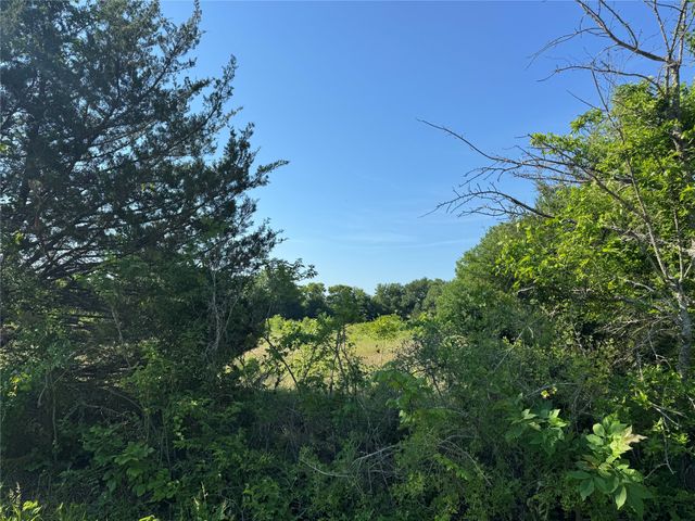 TBD Ball Road, Whitewright, TX 75491