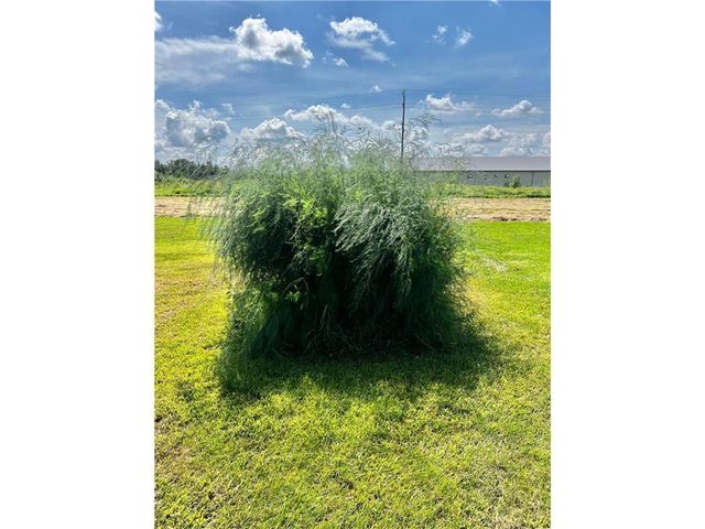 83025 160th Street, Sacred Heart, MN 56285