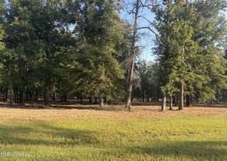 00 Shire Avenue, Forest, MS 39074