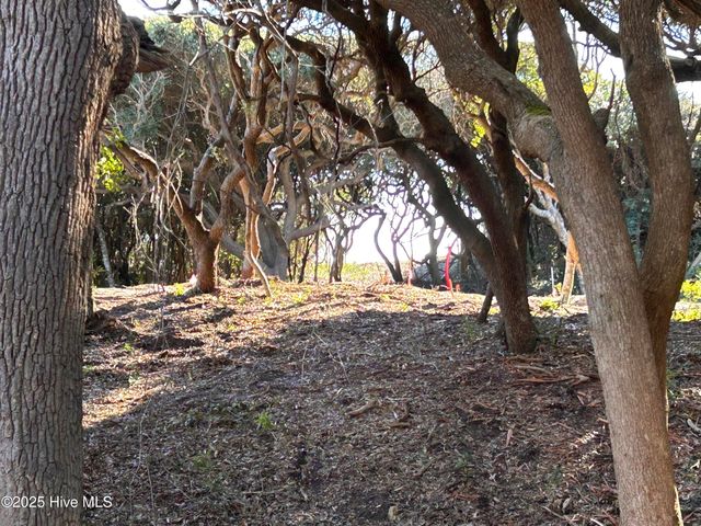 105 Roosevelt Reserve Park Place, Atlantic Beach, NC 28512