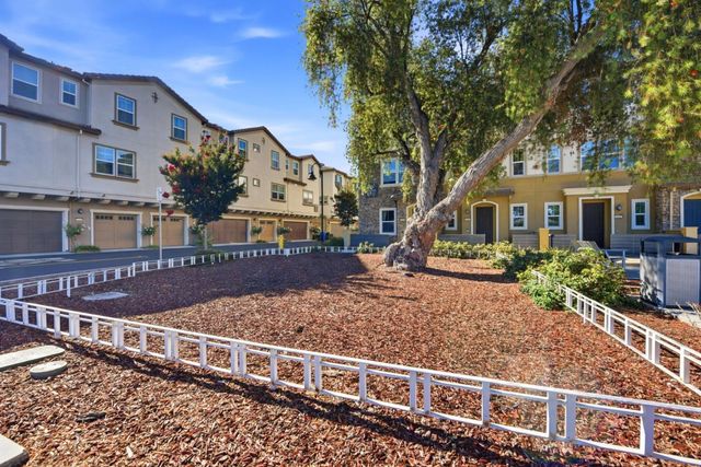 3146 Blanco Terrace, Fremont, CA 94536
