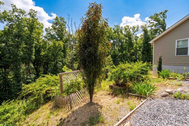 161 MT SINAI POINTE, Fort Valley, VA 22652