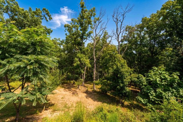 161 MT SINAI POINTE, Fort Valley, VA 22652