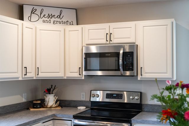 161 MT SINAI POINTE, Fort Valley, VA 22652