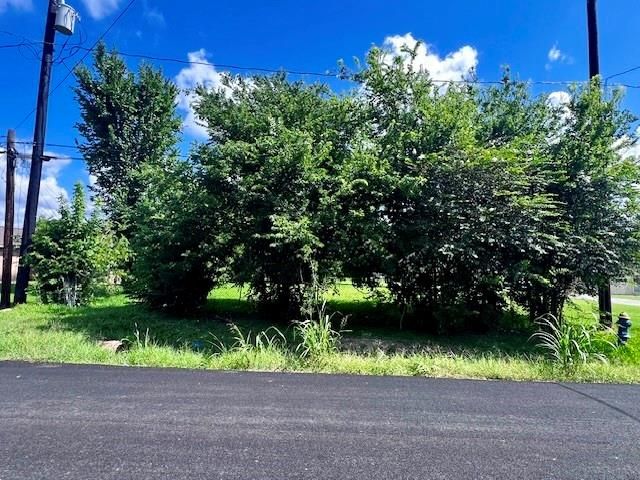 5125 Clover St Street, Houston, TX 77033