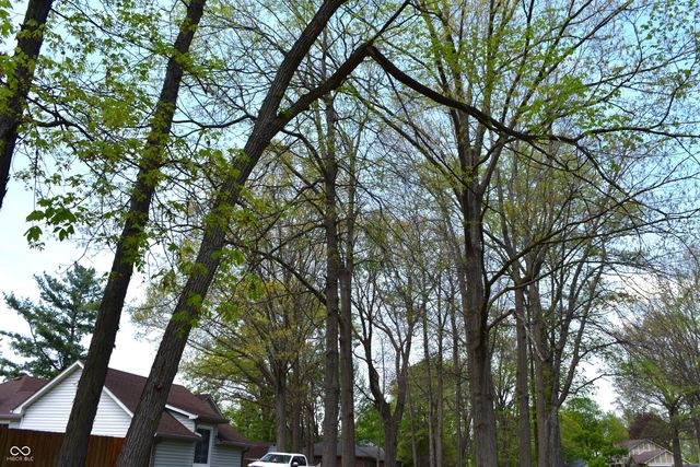 2370 Woodland Trace, Plainfield, IN 46168