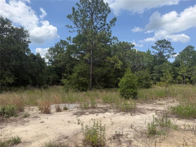 TBD SW 145TH CT, Ocala, FL 34482