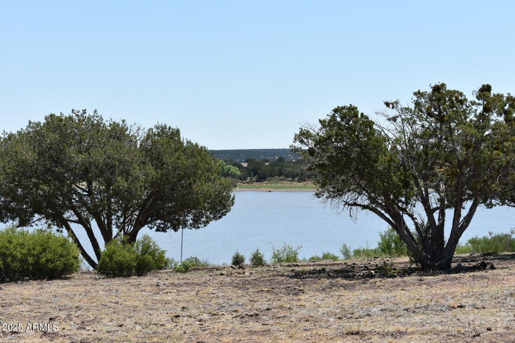 Image 23 of property listing at 1949 NORTON Place, Show Low, AZ 85901