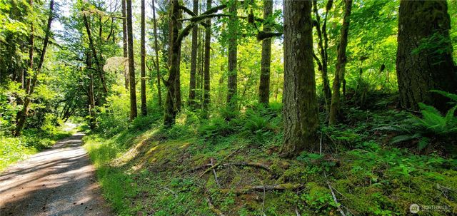 8290 MT Baker HWY, Deming, WA 98244