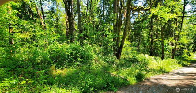 8290 MT Baker HWY, Deming, WA 98244