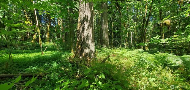 8290 MT Baker HWY, Deming, WA 98244