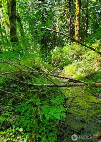 8290 MT Baker HWY, Deming, WA 98244