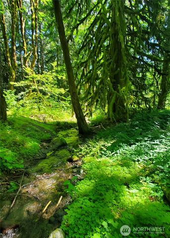 8290 MT Baker HWY, Deming, WA 98244