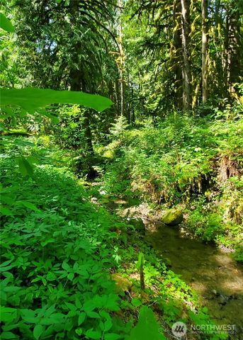 8290 MT Baker HWY, Deming, WA 98244