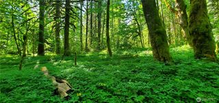 8290 MT Baker HWY, Deming, WA 98244