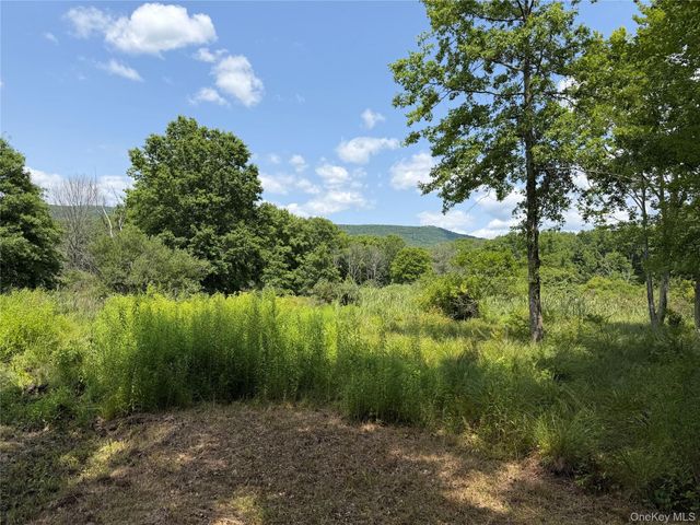 468 Decker Road, Wallkill, NY 12589
