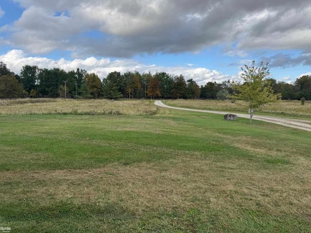 9817 Oatman Road, Greenwood Twp, MI 48006
