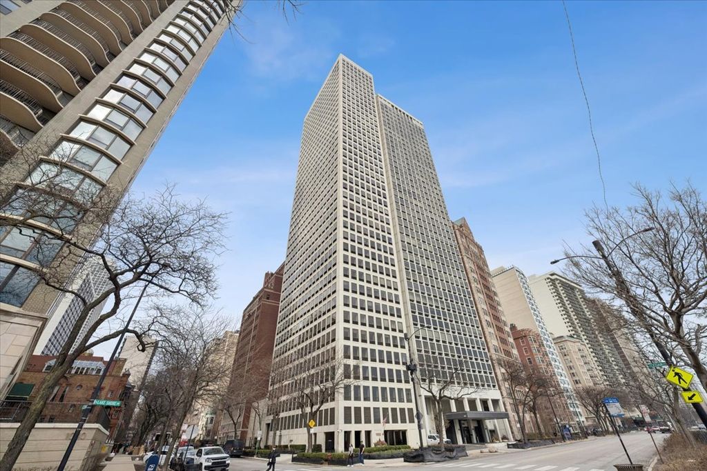 1100 N LAKE SHORE Drive 7B, Chicago, IL 60611 — exterior