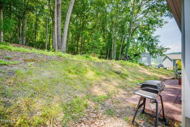 1184 Myrtle Drive, Butler, TN 37640