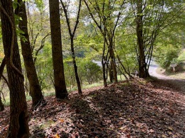 LT 2486 Novena Court, Ellijay, GA 30540