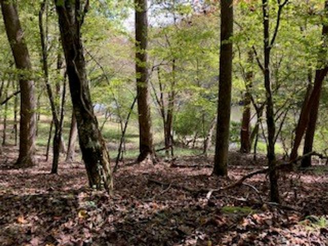 LT 2486 Novena Court, Ellijay, GA 30540