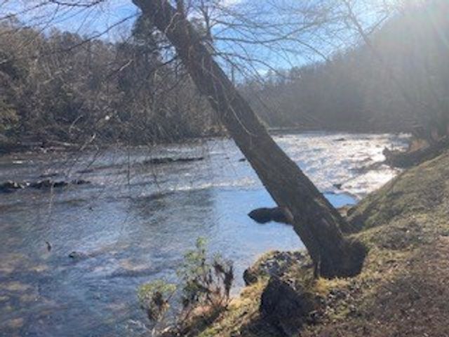 LT 2486 Novena Court, Ellijay, GA 30540