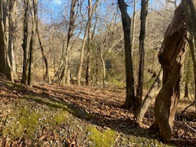 LT 2486 Novena Court, Ellijay, GA 30540