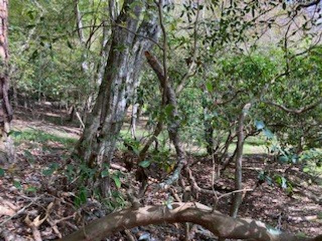 LT 2486 Novena Court, Ellijay, GA 30540