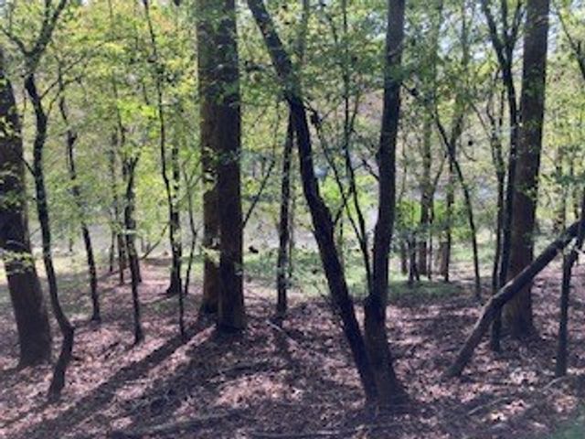 LT 2486 Novena Court, Ellijay, GA 30540