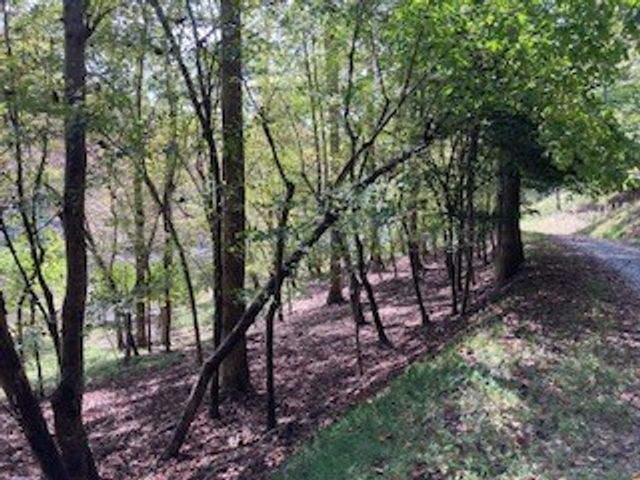 LT 2486 Novena Court, Ellijay, GA 30540